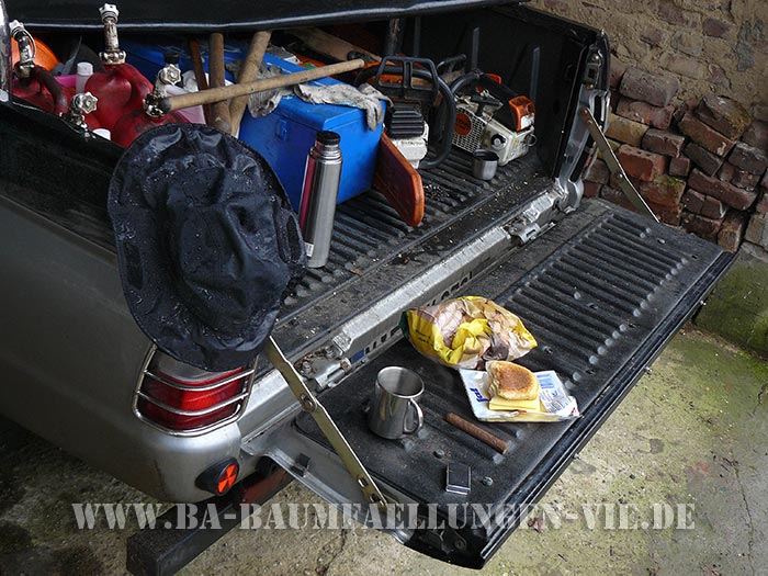 Rodung, F�llen der B�ume in einem Wald, Mittagpause