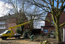 Gardemann Arbeitsbühnen, Einsatz für Baumfällungen