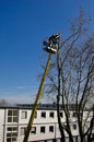 Gardemann Arbeitsbühnen, Einsatz für Baumfällungen