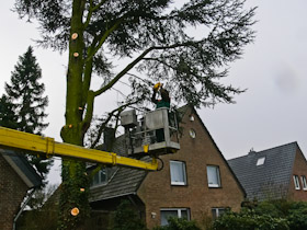 Zerlegen eines Stammes