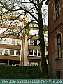P1030531.jpg