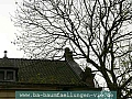 P1030536.jpg