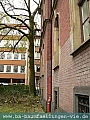 P1030556.jpg