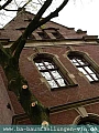 P1030560.jpg