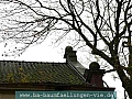 P1030563.jpg