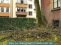 P1030565.jpg