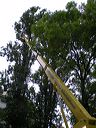 07.06.29_asmuth-koeln_003
