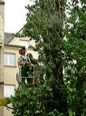 07.06.29_asmuth-koeln_014