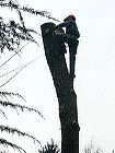 016_sw~1