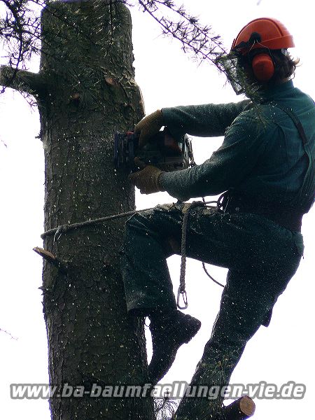 024_sw~1.jpg