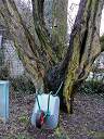 20090228_swg31_001