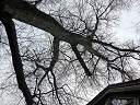 20090228_swg31_002