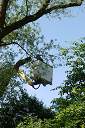 20090518_swg31_011