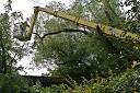 20090518_swg31_022