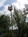 20090518_swg31_038