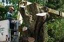 20090518_swg31_054