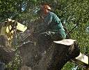 20090518_swg31_057
