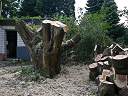 20090519_swg31_088